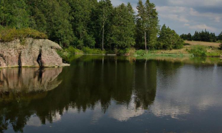 Jak szybko biega gepard?